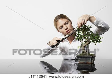 Stock Image - Young business woman at desk pruning Bonsai tree.. Fotosearch