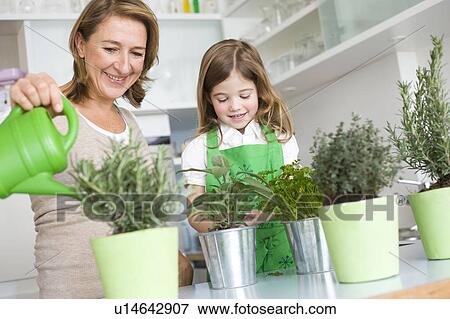 Daughter and mother watering herbs View Large Photo Image Stock Photo - Daughter and mother watering herbs. Fotosearch