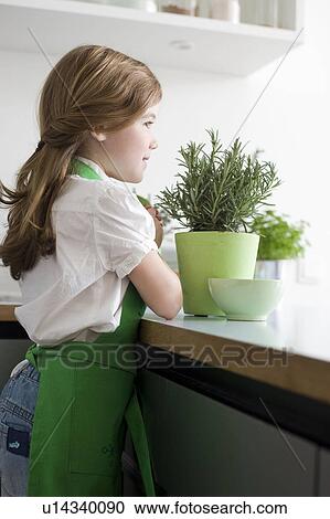 Girl cooking with a rosemary View Large Photo Image Stock Image - Girl cooking with a rosemary. Fotosearch