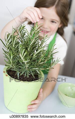Stock Photography - Girl pulling herbs. Fotosearch