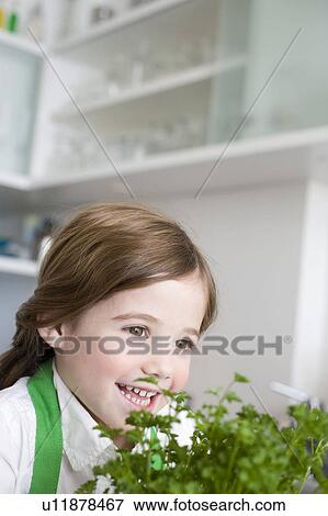 Girl smelling parsley View Large Photo Image Stock Photo - Girl smelling parsley. Fotosearch
