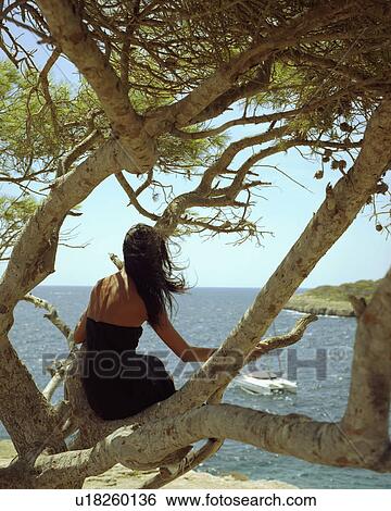 Woman sitting in a tree with a yacht going by. View Large Photo Image Stock Photograph - Woman sitting in a tree with a yacht going by.. Fotosearch