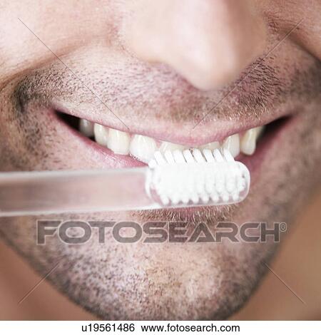 A young man brushing his teeth View Large Photo Image Stock Photograph - A young man brushing his teeth. Fotosearch