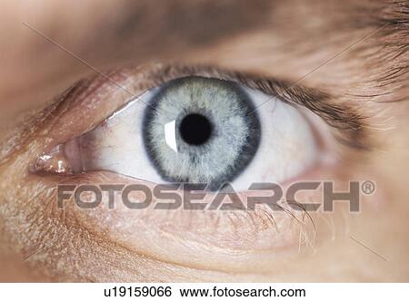 Close-up of an eye View Large Photo Image Stock Photograph - Close-up of an eye. Fotosearch