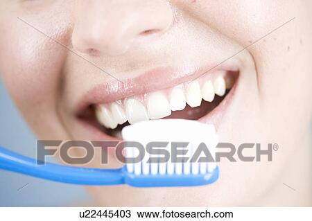 A young woman brushing her teeth View Large Photo Image Stock Image - A young woman brushing her teeth. Fotosearch