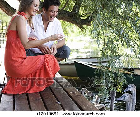 Young couple feeding swans View Large Photo Image Stock Image - Young couple feeding swans. Fotosearch