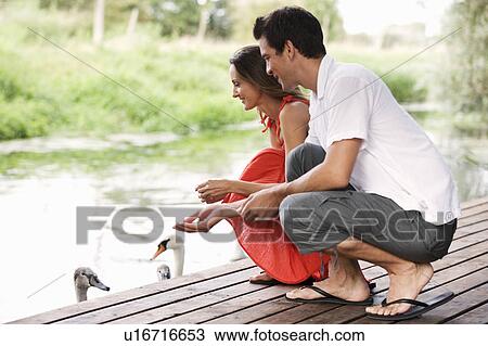 Young couple feeding swans View Large Photo Image Stock Image - Young couple feeding swans. Fotosearch