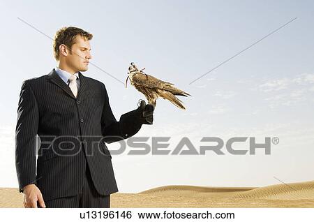 Stock Photograph - A man in a suit with a hawk. Fotosearch
