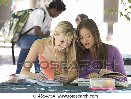 Picture - Two university students helping each other with revision. Fotosearch