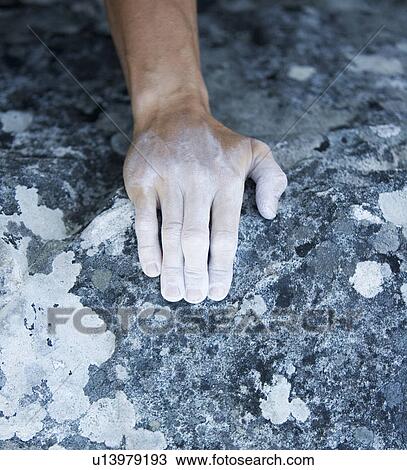 A climbers hand, close-up View Large Photo Image Stock Image - A climbers hand, close-up. Fotosearch