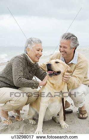 A senior couple walking their dog View Large Photo Image Stock Photo - A senior couple walking their dog. Fotosearch