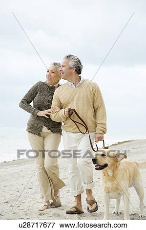 A senior couple walking their dog View Large Photo Image Stock Photo - A senior couple walking their dog. Fotosearch