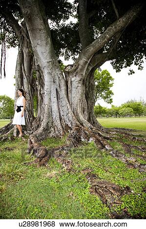 Stock Photo - woman resting against large tree. Fotosearch
