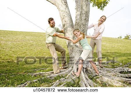 family holding hands around a tree View Large Photo Image Stock Image - family holding hands around a tree. Fotosearch