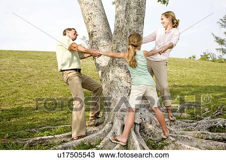 Stock Image - family holding hands around a tree. Fotosearch