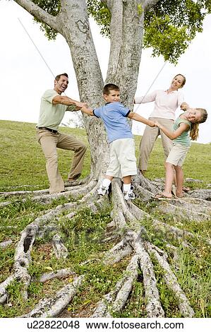 Stock Photo - family holding hands around a tree. Fotosearch