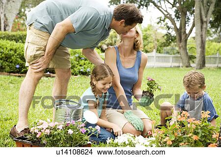 Picture - family gardening father kissing mother. Fotosearch