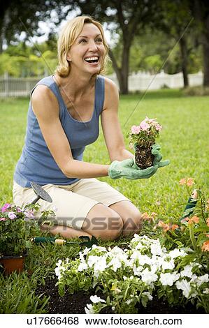 woman gardening View Large Photo Image Stock Photo - woman gardening. Fotosearch