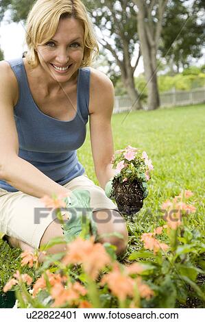 Stock Image - woman planting new plant. Fotosearch