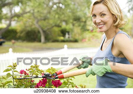 woman pruning plant with garden shears View Large Photo Image Stock Photo - woman pruning plant with garden shears. Fotosearch