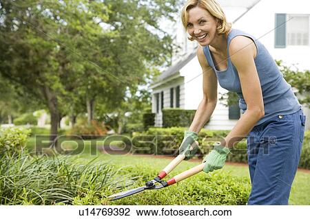 Stock Image - woman pruning with garden shears. Fotosearch
