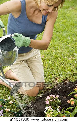 woman watering nee plants in flowerbed View Large Photo Image Stock Image - woman watering nee plants in flowerbed. Fotosearch