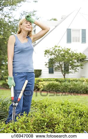 woman with wiping brow holding shears View Large Photo Image Stock Photo - woman with wiping brow holding shears. Fotosearch