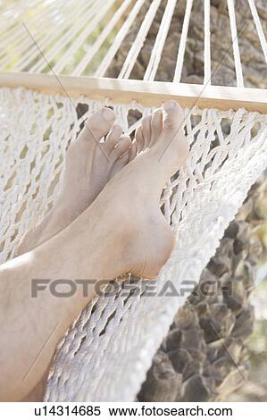 A man relaxing in a hammock View Large Photo Image Stock Photography - A man relaxing in a hammock. Fotosearch