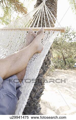 A man relaxing in a hammock View Large Photo Image Stock Photography - A man relaxing in a hammock. Fotosearch
