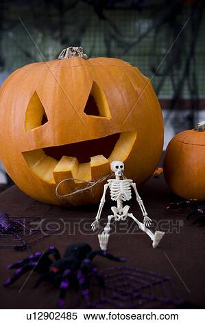 Still life of Jack'o Lantern and plastic toy skeleton for Halloween View Large Photo Image Stock Photography - Still life of Jack'o Lantern and plastic toy skeleton for Halloween . Fotosearch