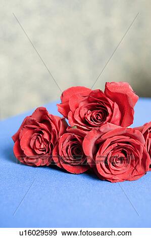 Stock Photo - Close-up of five roses. Fotosearch