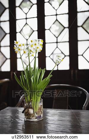 Stock Image - Flowers in a vase. Fotosearch
