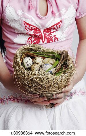 Mid section view of a girl holding eggs in a bird's nest View Large Photo Image Picture - Mid section view of a girl holding eggs in a bird's nest. Fotosearch
