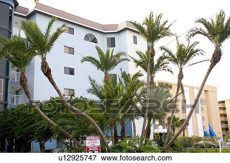 Condominium and palm trees along Florida Gulf View Large Photo Image Stock Photo - Condominium and palm trees along Florida Gulf. Fotosearch