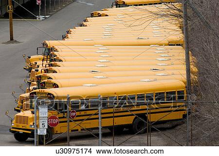 Picture - Line up of orange school buses in the motor pool. Fotosearch