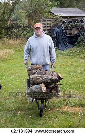 Picture - Man carrying wood in a wheelbarrow on the farm in Poland. Zawady Central Poland. Fotosearch