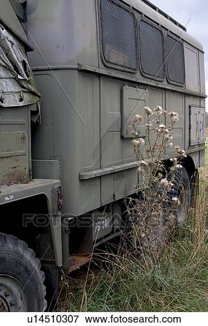 Military truck and thistle View Large Photo Image Stock Photo - Military truck and thistle. Fotosearch