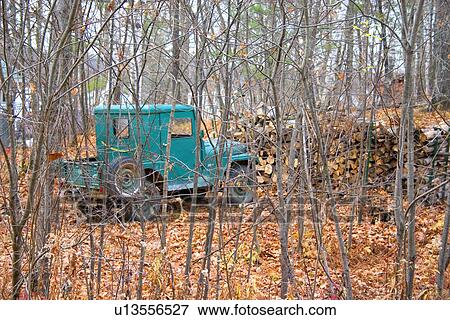 Stock Photo - Old turquoise jeep for hauling supplies at summer cabin. Fotosearch