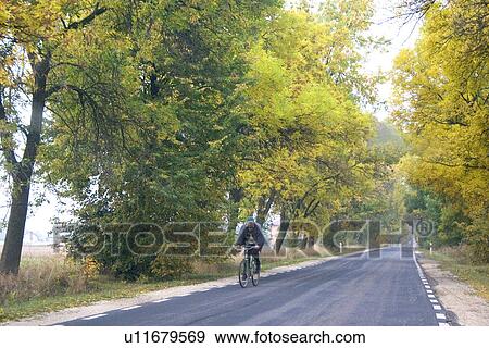 Solitary bicyclist riding bicycle down country lane. Highway 72 between Lodz and Rawa Maz. Central Poland View Large Photo Image Stock Photo - Solitary bicyclist riding bicycle down country lane. Highway 72 between Lodz and Rawa Maz. Central Poland. Fotosearch