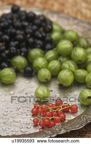 Stock Image - Aromatic, Crop, Cherries, Blackcurrant, Abundance. Fotosearch