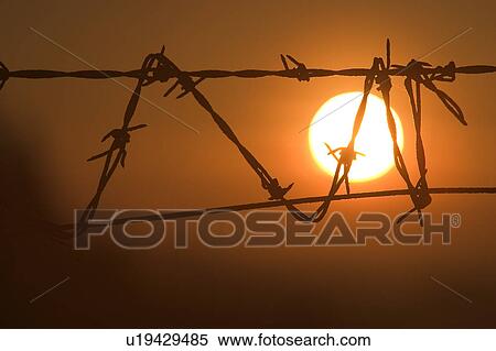 Barbed Wire, Close-Up, Dusk, Fence, Focus On Background View Large Photo Image Stock Photography - Barbed Wire, Close-Up, Dusk, Fence, Focus On Background. Fotosearch