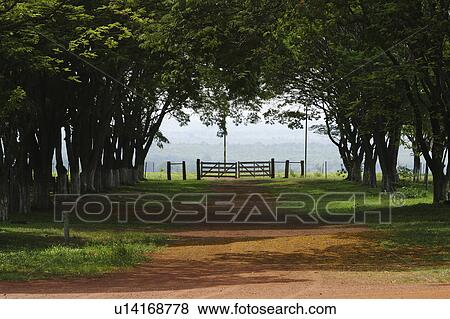 Stock Photo - barricade, barrier, bushes. Fotosearch