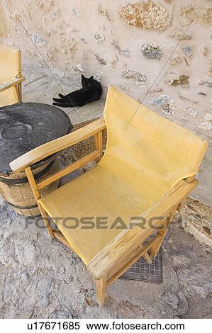 Black, Brown, Canvas, Cat, Chair View Large Photo Image Stock Photography - Black, Brown, Canvas, Cat, Chair. Fotosearch