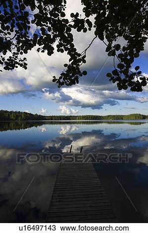 Stock Image - Blue, Boardwalk, Branch, Cloud, Day. Fotosearch