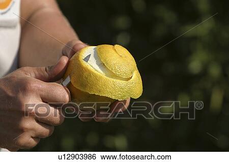 blur, person, kitchen knife View Large Photo Image Stock Photograph - blur, person, kitchen knife. Fotosearch