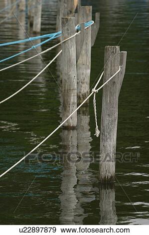 bollard, post, wooden, wood, logs, tied View Large Photo Image Stock Photo - bollard, post, wooden, wood, logs, tied. Fotosearch