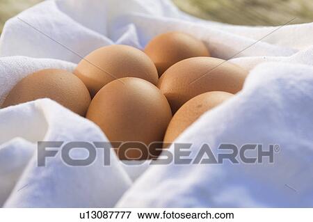Stock Photo - Brown, Close-Up, Day, Egg, Food. Fotosearch