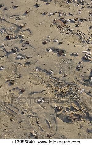 Stock Image - Close-Up, Day, Directly Above, Footprint. Fotosearch