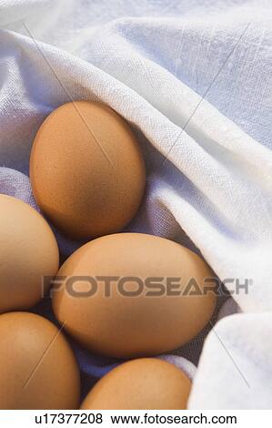 Stock Photo - Close-Up, Egg, Fold, Full Frame, Group Of Objects. Fotosearch