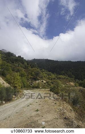 Cloud, Day, Dirt Road, Empty, Green View Large Photo Image Stock Image - Cloud, Day, Dirt Road, Empty, Green. Fotosearch